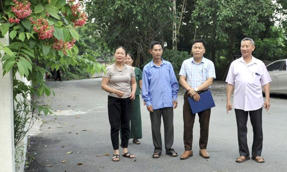 B&oacute;ng đại thụ che chở bi&ecirc;n cương