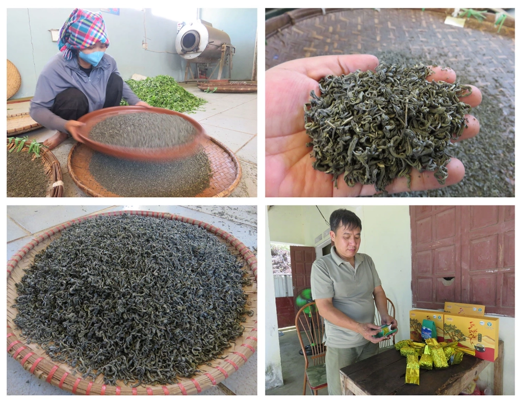Từ những búp chè Shan tuyết tươi, Trà tuyết Chế Là được chế biến thành sản phẩm mang dấu ấn riêng của địa phương