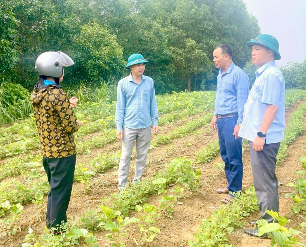 Lãnh đạo xã Đông Thọ thăm, kiểm tra mô hình phát triển cây dâu tằm tại địa phương.