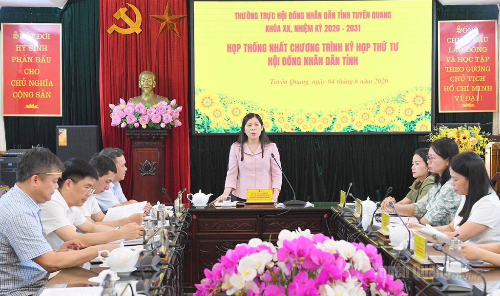 Đồng chí Phó Chủ tịch HĐND tỉnh Lê Thị Thanh Trà chủ trì cuộc họp.