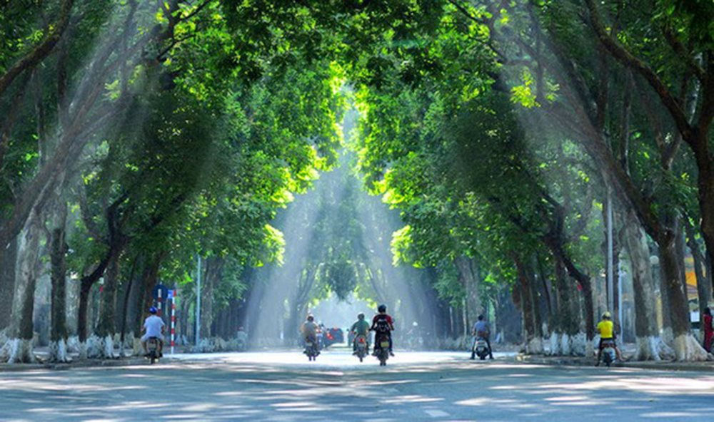 VÌ MỘT NỀN VĂN MINH SINH THÁI, MỘT VIỆT NAM XANH VÀ MỘT ĐẠI DƯƠNG HÒA BÌNH, BỀN VỮNG- Ảnh 5.
