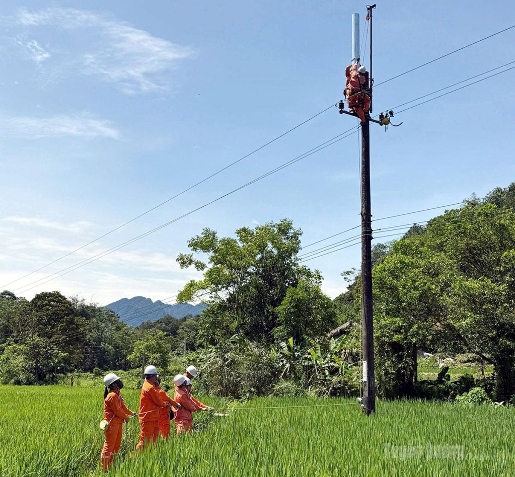  Công ty  Điện lực Tuyên Quang sửa chữa đường dây  tải điện.
