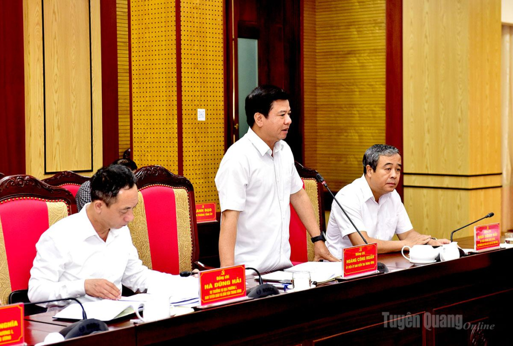 Thành viên Đoàn kiểm tra phát biểu tại hội nghị.