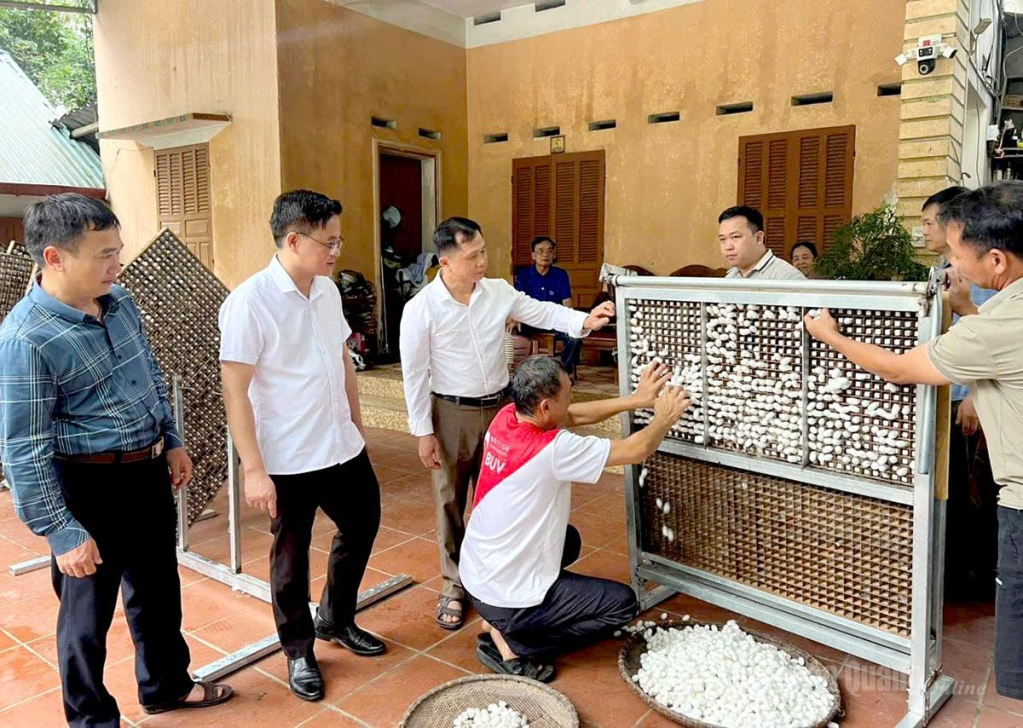 Mô hình nuôi tằm của nông dân xã Yên Nguyên mang lại hiệu quả, góp phần phát triển kinh tế hộ gia đình.