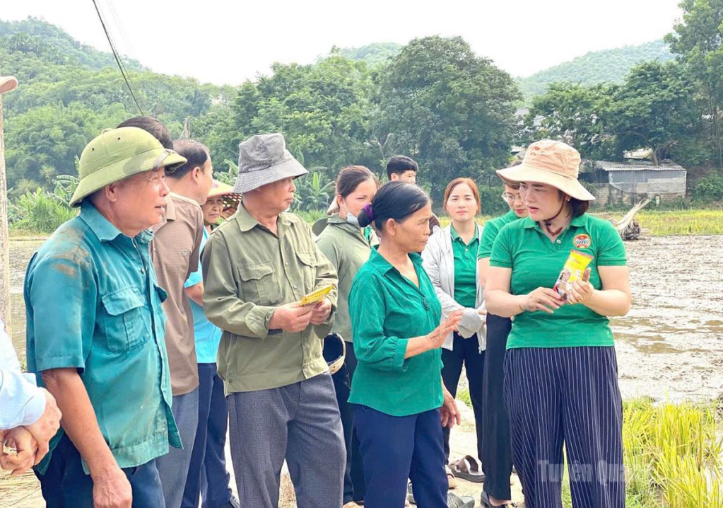 Nông dân Tuyên Quang được hướng dẫn xử lý gốc rạ tại ruộng.