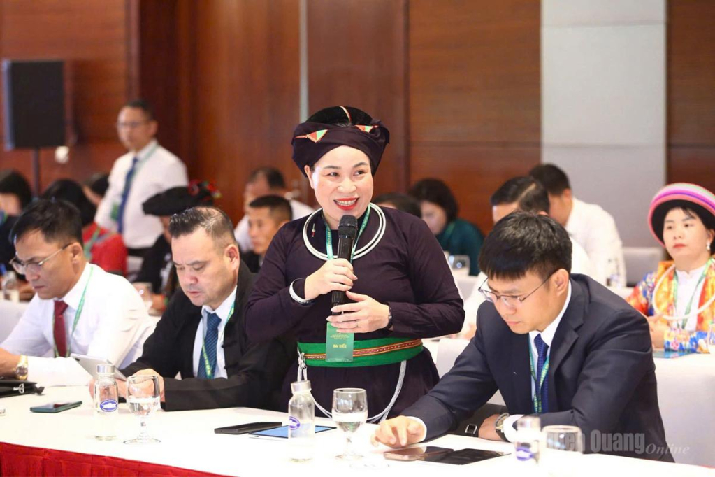 Đồng chí Chu Thị Ngọc Diệp, Chủ tịch Hội Nông dân tỉnh tham gia tham luận tại Đại hội.