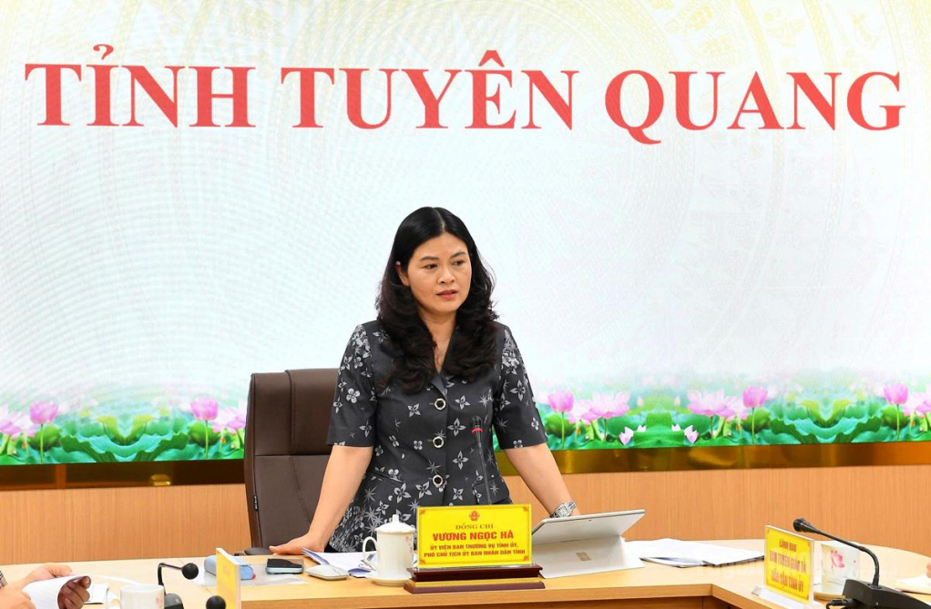 Đồng chí Phó Chủ tịch UBND tỉnh Vương Ngọc Hà phát biểu kết luận cuộc họp.