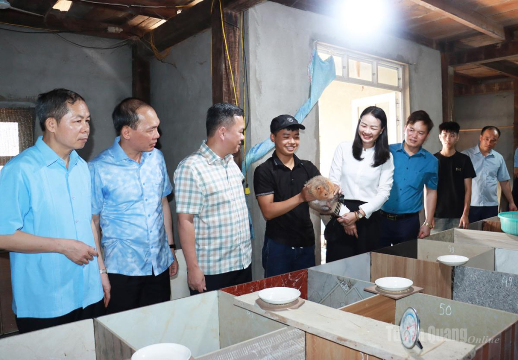 Đoàn công tác tham quan mô hình nuôi dúi tại thôn Tân Sơn, xã Minh Tân.