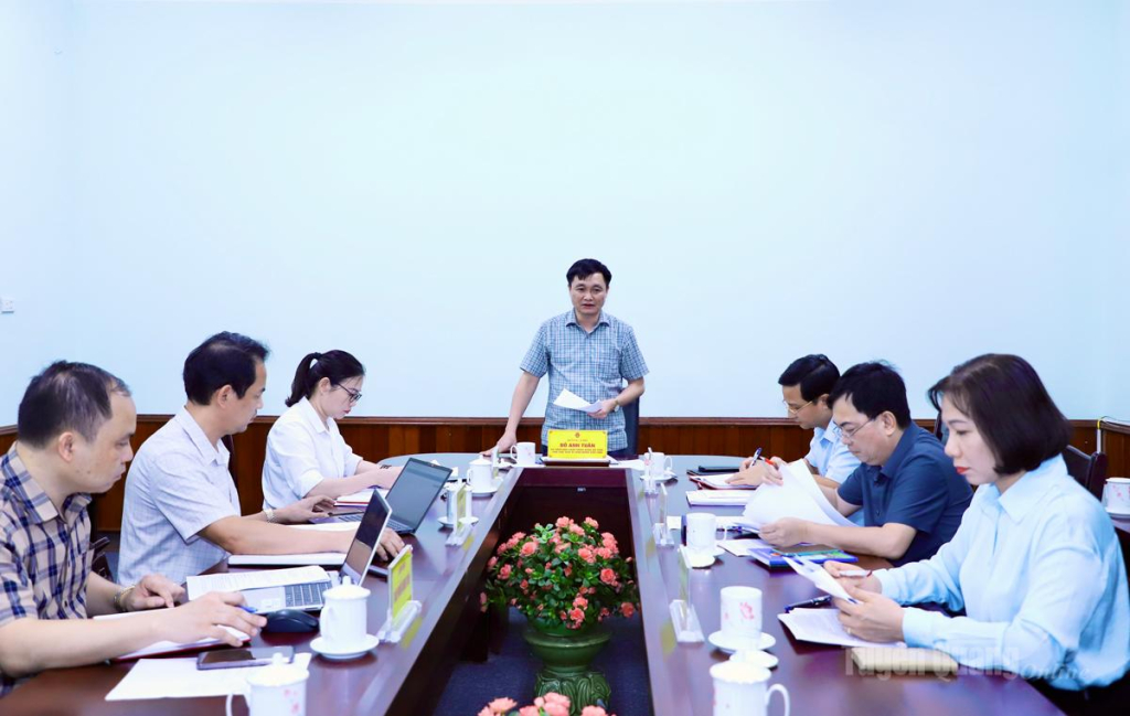 Phó Chủ tịch UBND tỉnh Đỗ Anh Tuấn phát biểu kết luận cuộc họp.