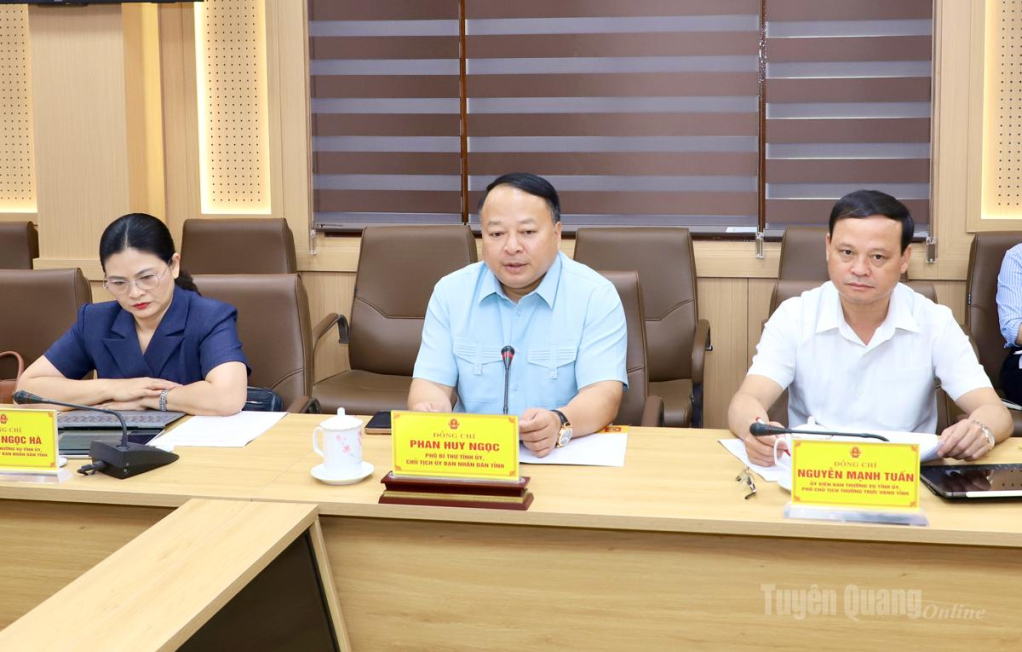 Chủ tịch UBND tỉnh Phan Huy Ngọc phát biểu tại buổi làm việc.