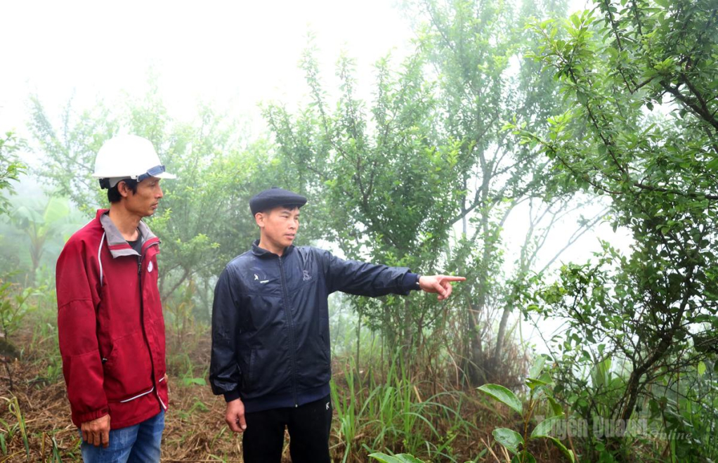 Anh Lý Ngọc Thanh chia sẻ kinh nghiệm phát triển mô hình trồng mận máu với người dân địa phương.