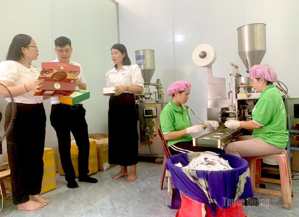 HTX Nông nghiệp hữu cơ Hồng Phát, xã Kim Bình không ngừng cải tiến quy trình chế biến, nâng cao chất lượng sản phẩm trà đỗ đen xanh lòng.