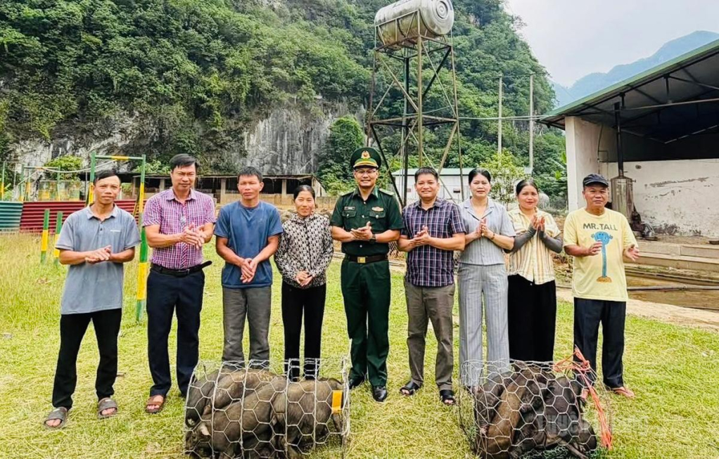 Đại diện Đồn Biên phòng Cửa khẩu Quốc tế Thanh Thủy và Hội LHPN xã Thanh Thủy trao lợn giống cho hội viên phụ nữ khó khăn.