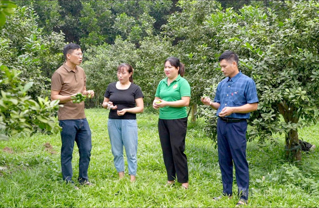 Chị Nguyễn Thị Hoài Trang (thứ 2 từ phải qua), Chủ tịch Hội Nông dân xã Hùng Đức  nắm bắt tình hình ở cơ sở.