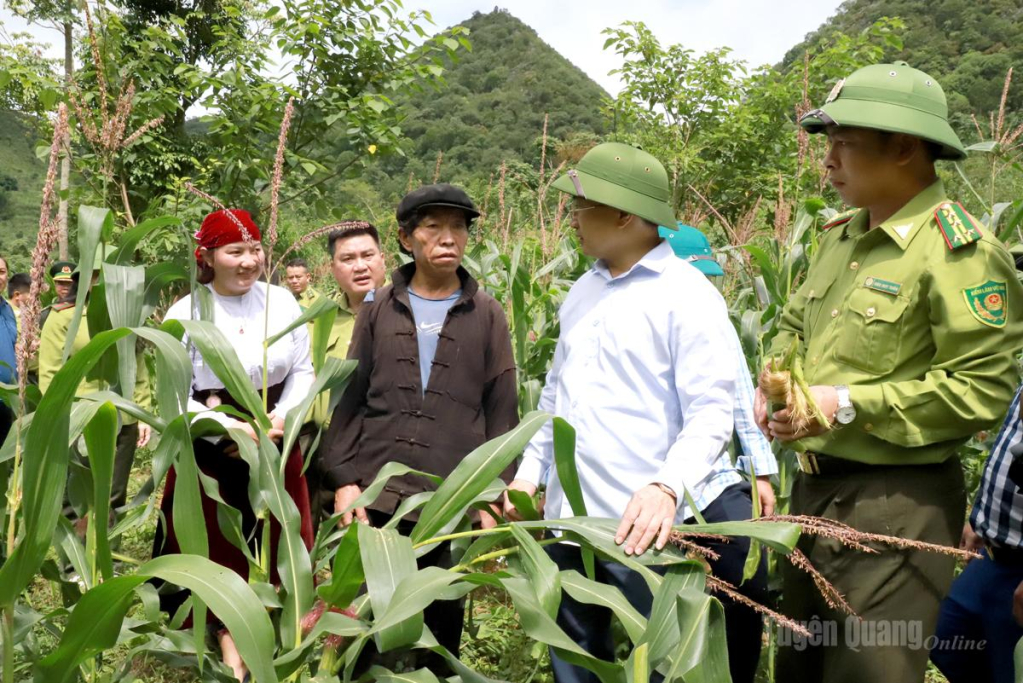 Đoàn khảo sát thực địa khu vực hoa màu bị quần thể khỉ phá hoại.