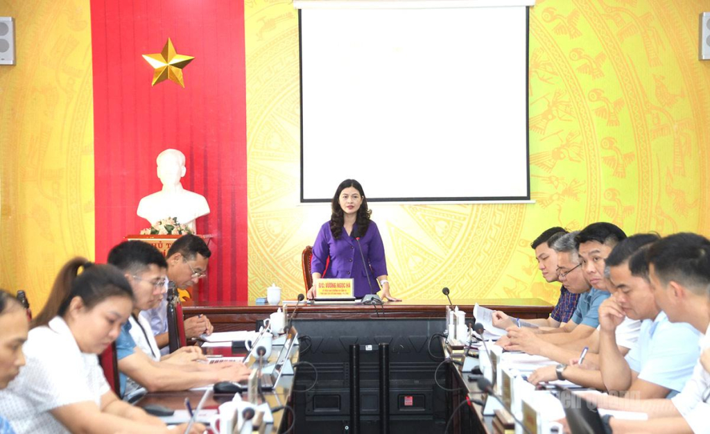 Phó Chủ tịch UBND tỉnh Vương Ngọc Hà phát biểu tại buổi làm việc.