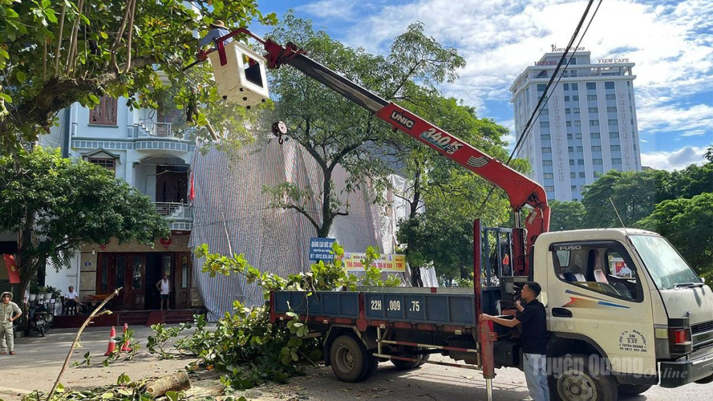 Công ty cổ phần Dịch vụ môi trường và Quản lý đô thị tỉnh Tuyên Quang cắt tỉa cây xanh, đảm bảo an toàn mùa mưa bão.
