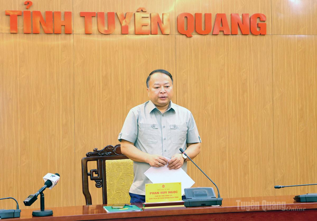 Đồng chí Phan Huy Ngọc, Phó Bí thư Tỉnh uỷ, Chủ tịch UBND tỉnh phát biểu tại hội nghị.