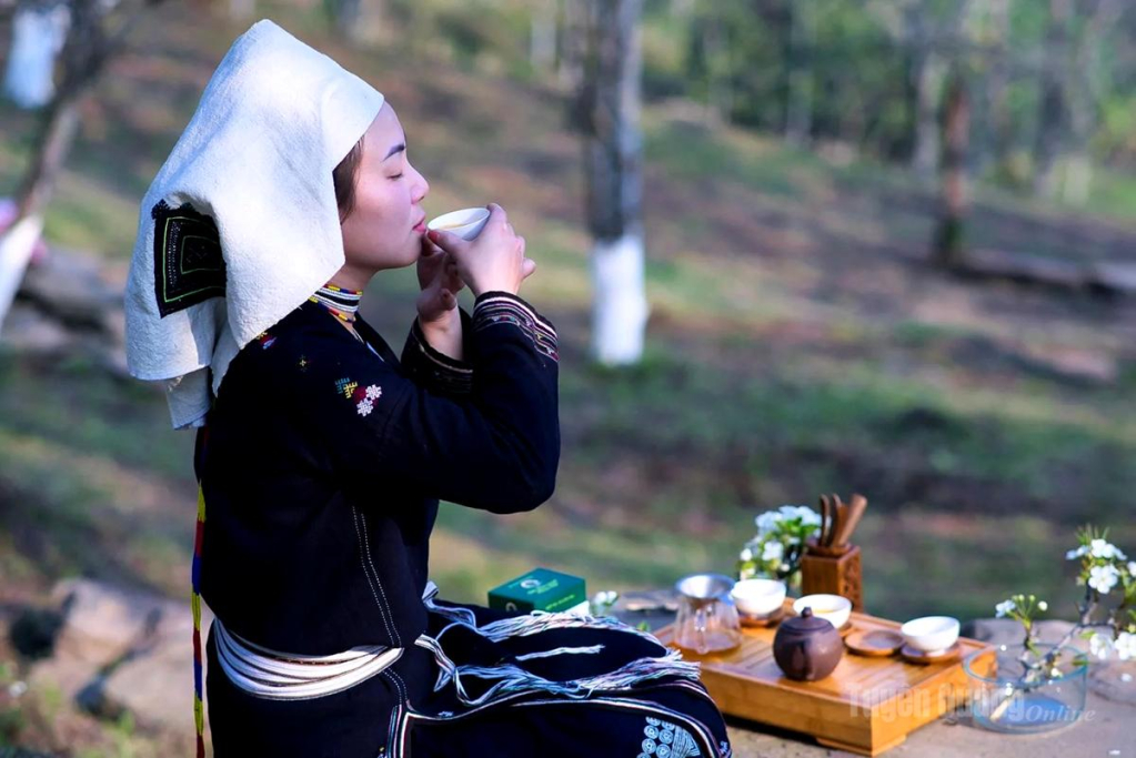 Khách du lịch thưởng thức chè Shan tuyết giữa không gian của núi rừng hùng vĩ.