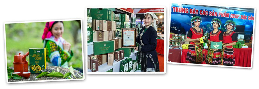 Đứng trước thực trạng đó, lãnh đạo tỉnh Tuyên Quang đã xác định: Để hương trà bay xa, không thể chỉ dựa vào ưu đãi của tự nhiên mà cần một cú huých bài bản từ tư duy quản trị: Chuyển mình từ sản xuất thô sang chế biến tinh và xây dựng thương hiệu văn hóa.
