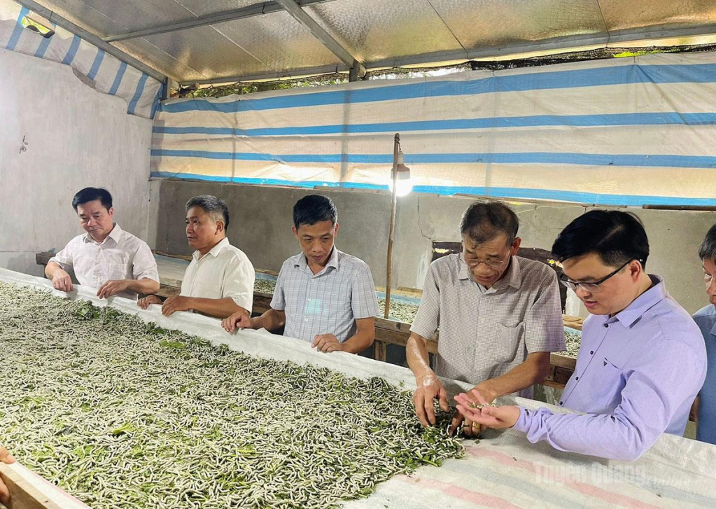 Mô hình trồng dâu nuôi tằm tại xã Tân Long đem lại thu nhập cao cho người nông dân.