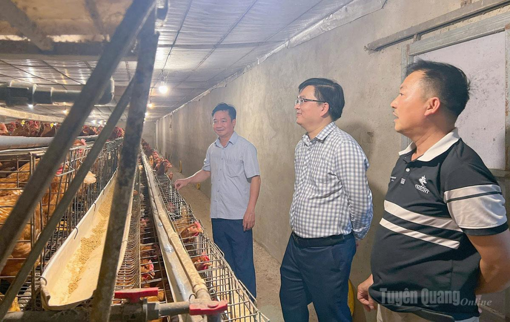 Lãnh đạo xã Kim Bình nắm tình hình phát triển kinh tế hộ trên địa bàn xã.