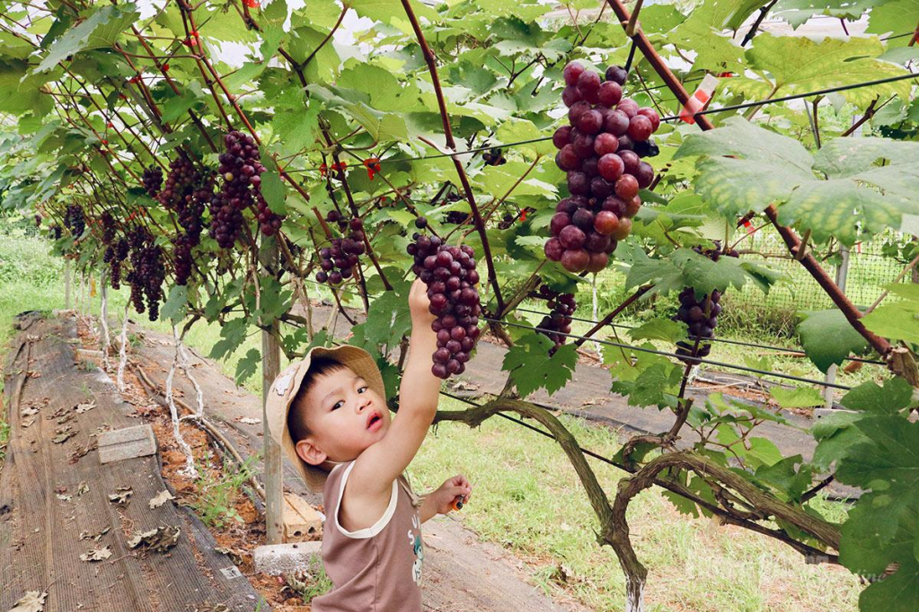 Các bạn nhỏ rất hào hứng với loại hình trải nghiệm mới này.