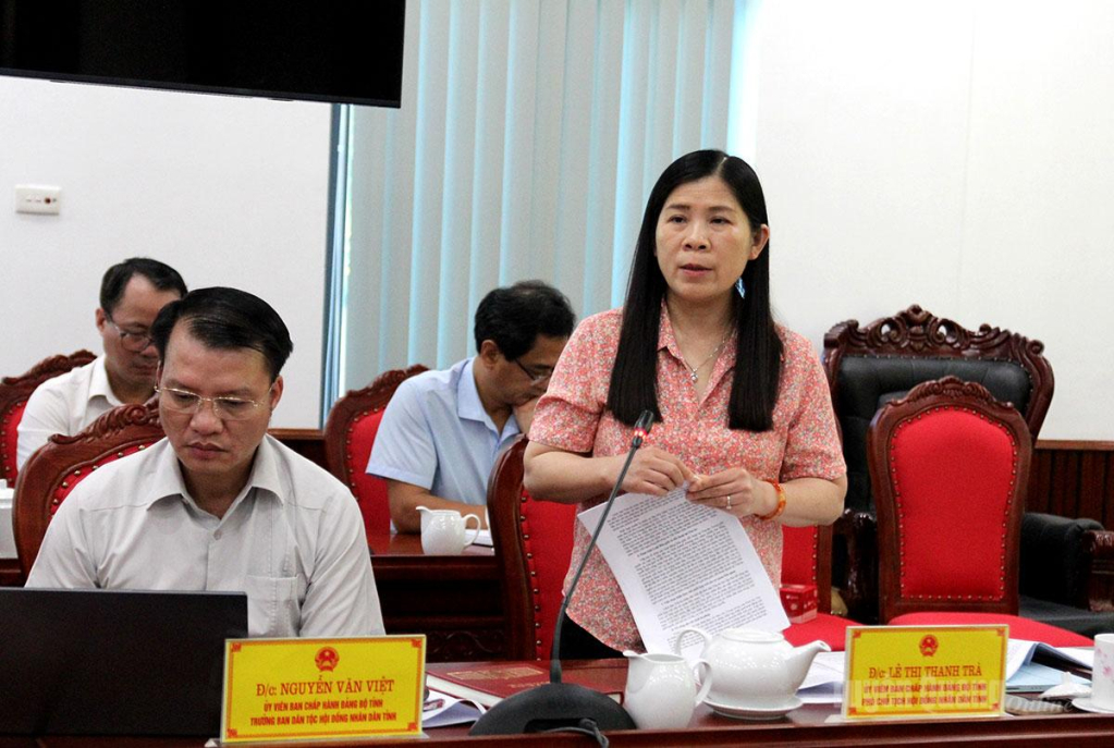 Đồng chí Phó Chủ tịch HĐND tỉnh Lê Thị Thanh Trà phát biểu tại cuộc họp.