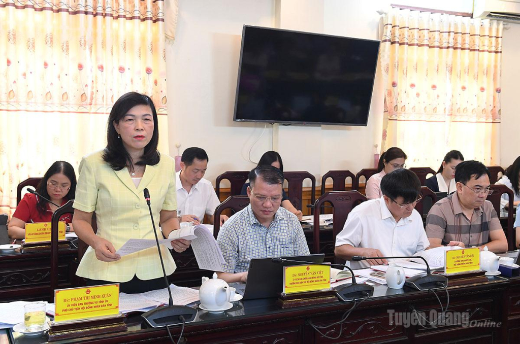 Đồng chí Phó Chủ tịch HĐND tỉnh Phạm Thị Minh Xuân phát biểu, cho ý kiến vào một số nội dung, chương trình Kỳ họp thứ tư HĐND tỉnh.
