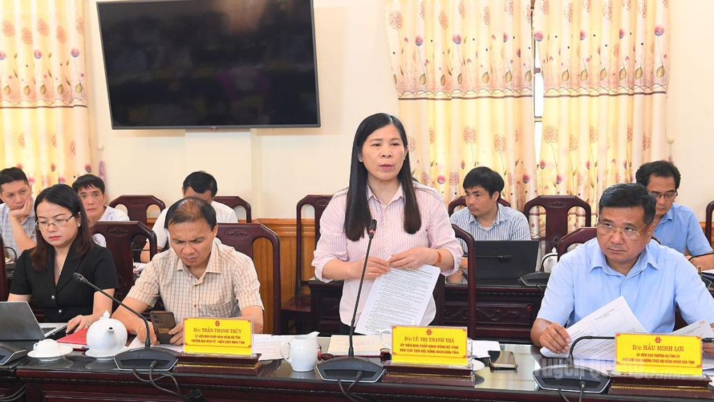 Đồng chí Phó Chủ tịch HĐND tỉnh Lê Thị Thanh Trà thảo luận tại phiên họp.