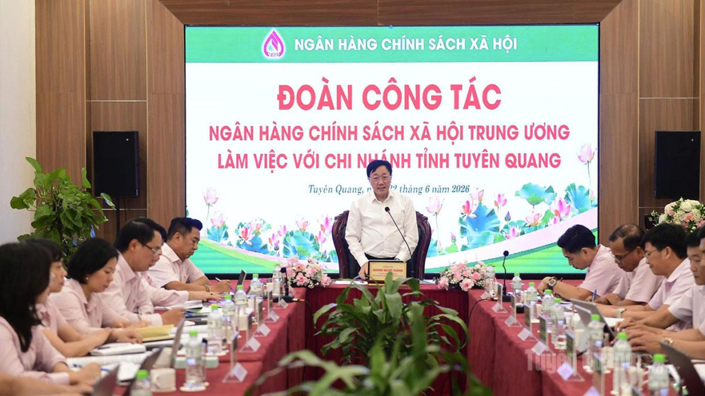 Đoàn công tác Ngân hàng Chính sách xã hội Việt Nam làm việc với Chi nhánh Ngân hàng Chính sách xã hội tỉnh.
