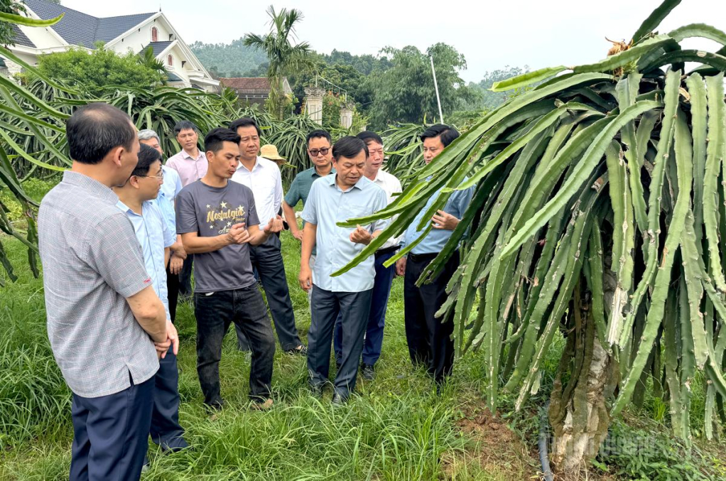 Đoàn công tác của Ban chỉ đạo Chương trình MTQG kiểm tra tiến độ giải ngân tại Tuyên Quang.