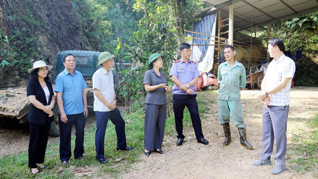 Đồng chí Lý Thị Lan cùng đoàn công tác khảo sát nắm bắt hiệu quả việc giao khoán đất tại hộ gia đình anh Lê Văn Quang, thôn Yên Thịnh, xã Hàm Yên.