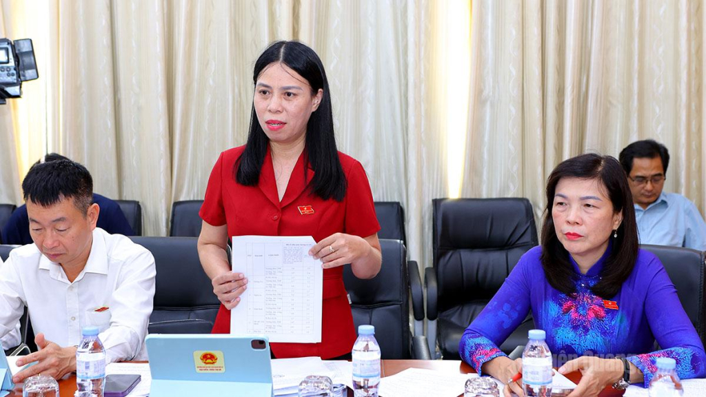 Đại biểu HĐND tỉnh phát biểu ý kiến tại tổ thảo luận số 3.