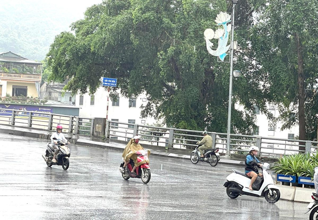 Khu vực phường Hà Giang 1 đã xuất hiện mưa to.