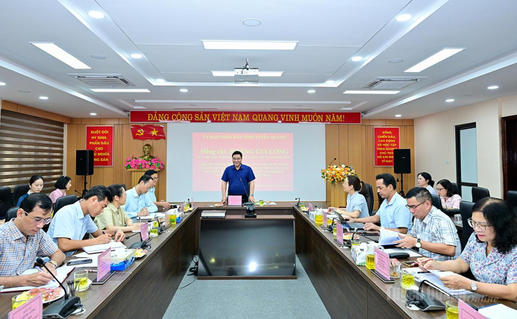 Phó Chủ tịch UBND tỉnh Hoàng Gia Long chủ trì buổi làm việc.