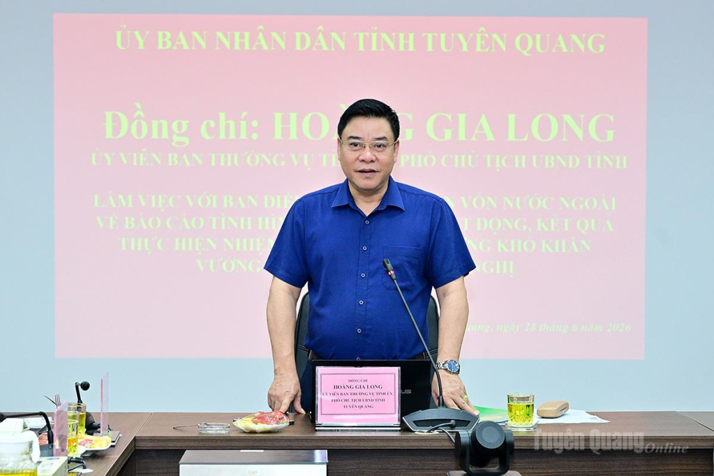Phó Chủ tịch UBND tỉnh Hoàng Gia Long phát biểu kết luận buổi họp.