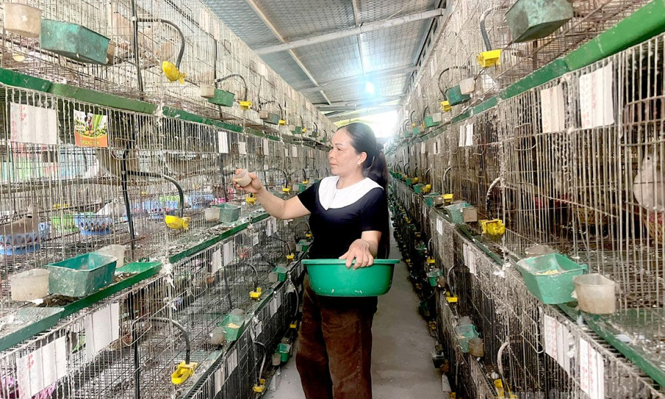 Động lực kinh tế mới ở Ph&uacute; Lương