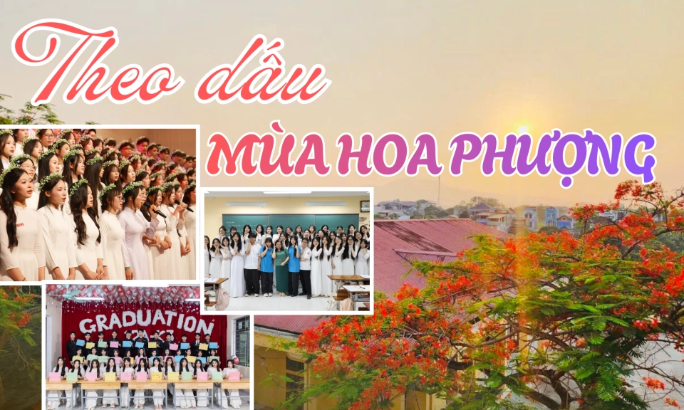 Theo dấu ch&acirc;n m&ugrave;a hoa phượng