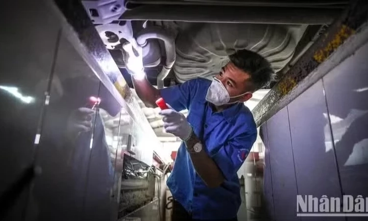 Chứng nhận xe cải tạo, kiểm tra xe nhập khẩu: Đăng kiểm vi&ecirc;n phải c&oacute; tr&igrave;nh độ đại học