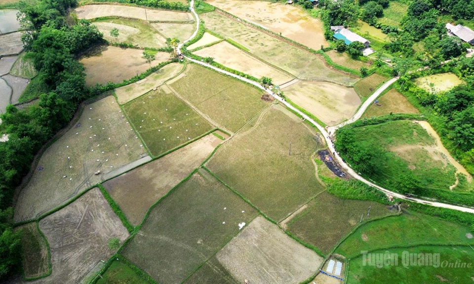 Người d&acirc;n th&ocirc;n T&acirc;n Th&agrave;nh 3 mong sớm c&oacute; nước phục vụ sản xuất