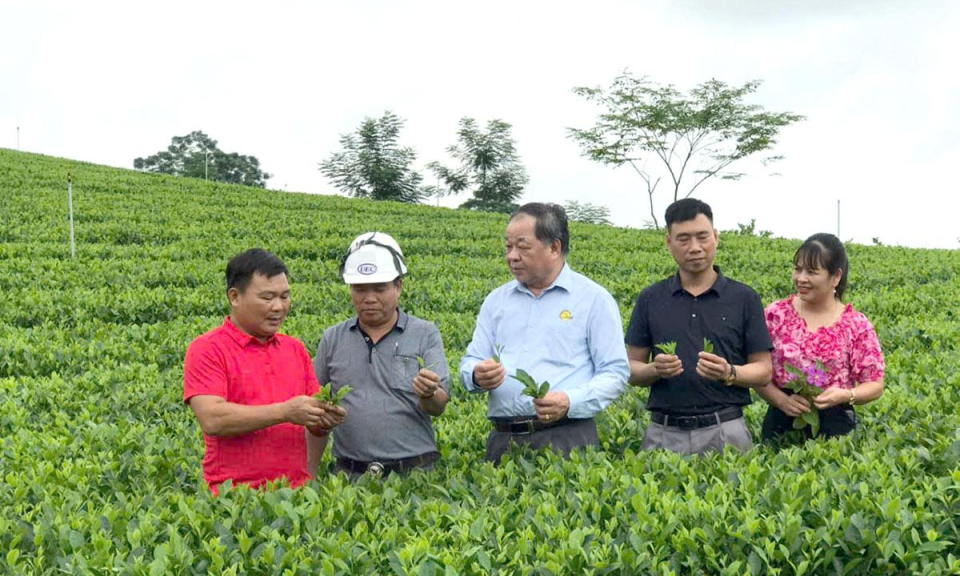 B&agrave;i cuối: Cơ hội cho n&ocirc;ng nghiệp xanh