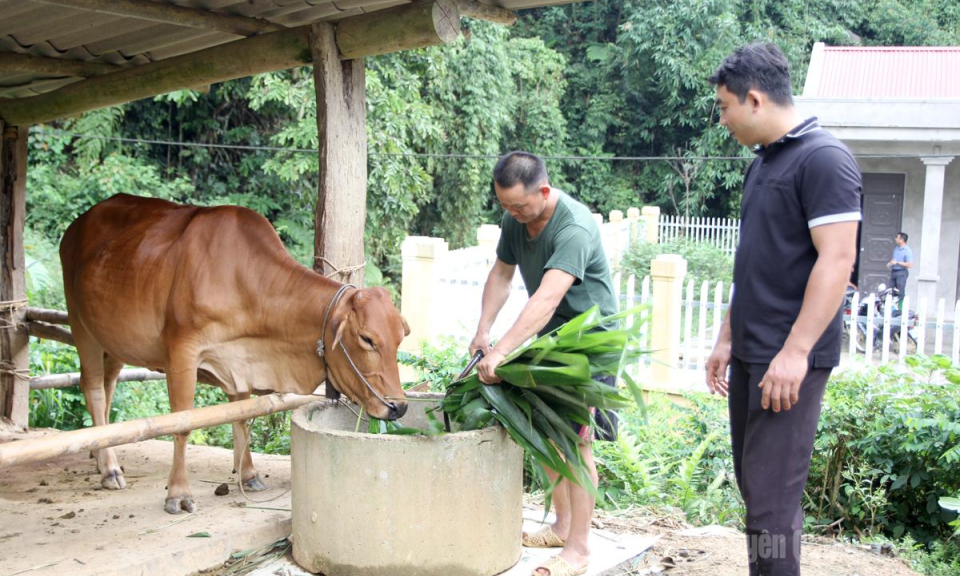 Điểm tựa Khau Lu&ocirc;ng