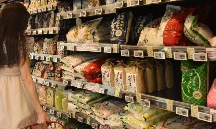 FAO cảnh b&aacute;o hậu quả lạm dụng kh&aacute;ng sinh trong chăn nu&ocirc;i
