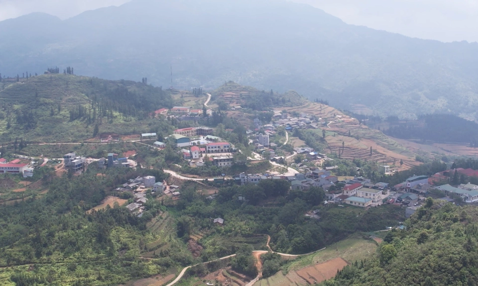 Ph&ecirc;n dậu b&igrave;nh y&ecirc;n