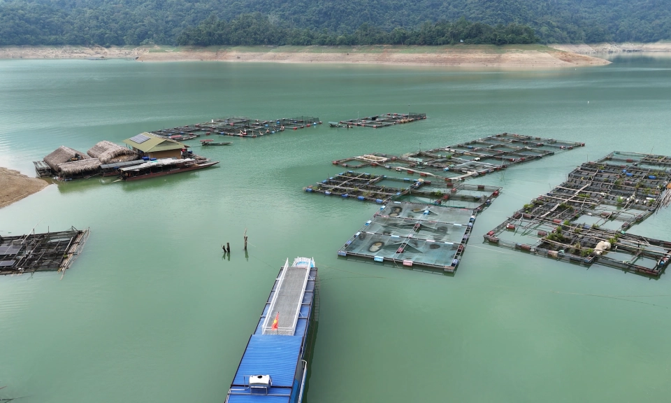 Minh Ngọc ph&aacute;t triển tiềm năng nu&ocirc;i c&aacute; lồng b&egrave; tr&ecirc;n s&ocirc;ng