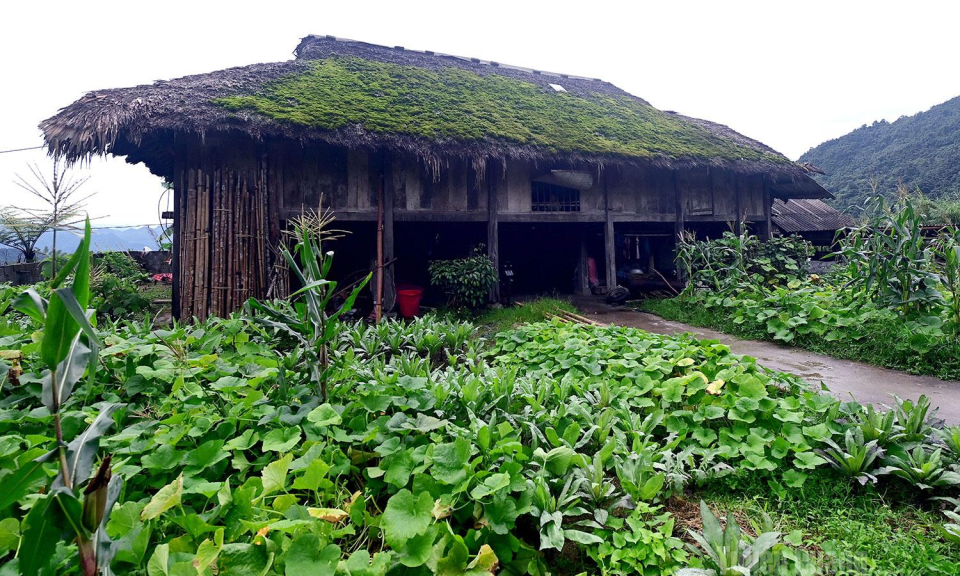 X&agrave; Ph&igrave;n, một tho&aacute;ng chạm l&ograve;ng