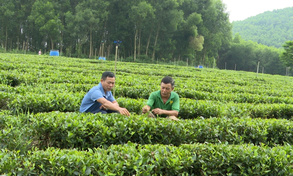 Chuyển đổi phương thức sản xuất, gia tăng gi&aacute; trị n&ocirc;ng sản
