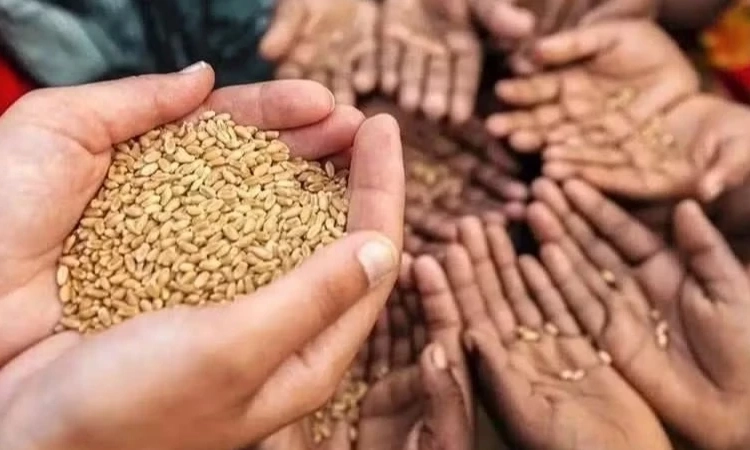 Chung tay gi&uacute;p đỡ, đẩy l&ugrave;i đ&oacute;i ngh&egrave;o