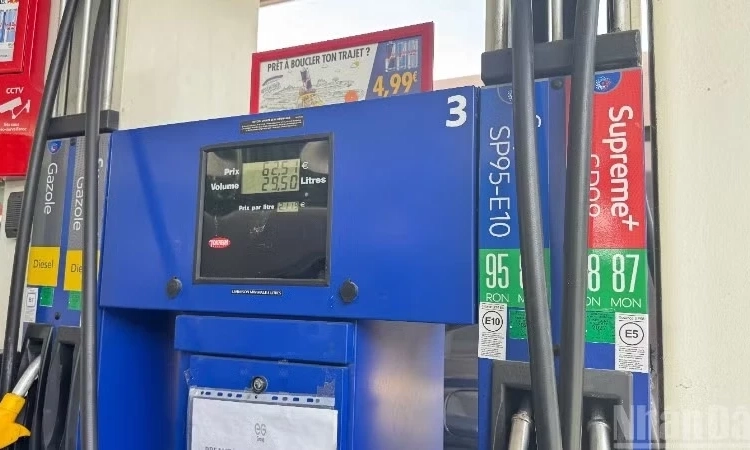 Ấn Độ bắt đầu triển khai nhi&ecirc;n liệu E85